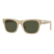 PERSOL Occhiali da sole squadrati , colore champagne , lente verde