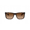 RAY BAN Occhiali da sole colore marrone maculato, squadrato, lente marrone sfumata